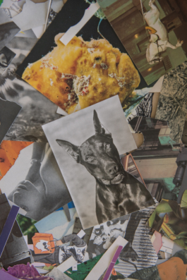 DANIEL RODRIGUEZ | Photography