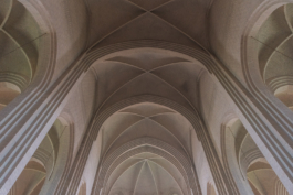 DANIEL RODRIGUEZ | Photography