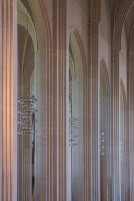 DANIEL RODRIGUEZ | Photography