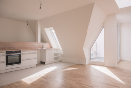 DANIEL RODRIGUEZ | Photography