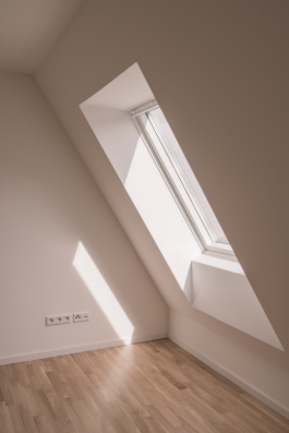 DANIEL RODRIGUEZ | Photography