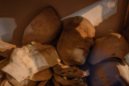 DANIEL RODRIGUEZ | Photography