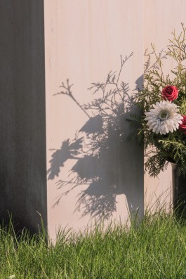 DANIEL RODRIGUEZ | Photography