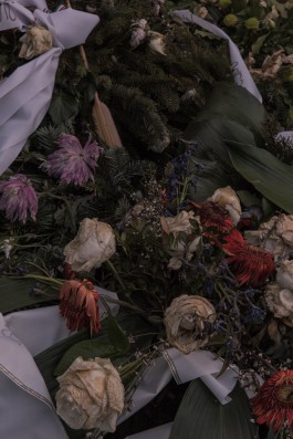 DANIEL RODRIGUEZ | Photography