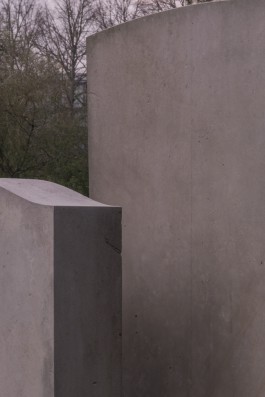 DANIEL RODRIGUEZ | Photography