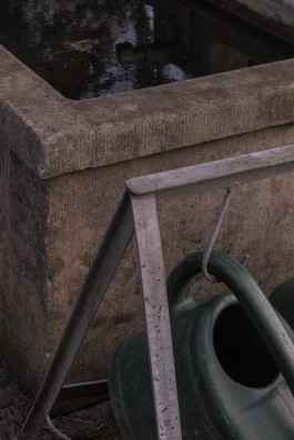 DANIEL RODRIGUEZ | Photography