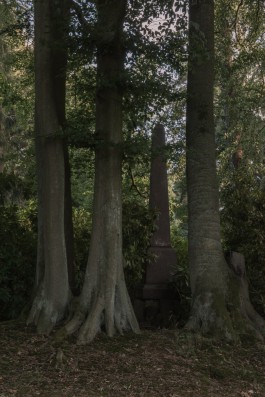 DANIEL RODRIGUEZ | Photography