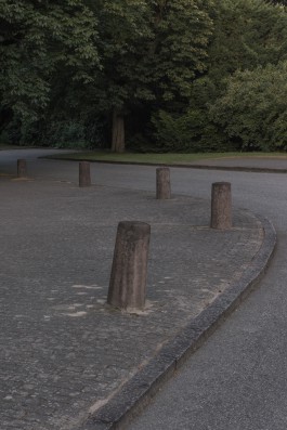 DANIEL RODRIGUEZ | Photography