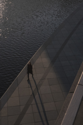 DANIEL RODRIGUEZ | Photography