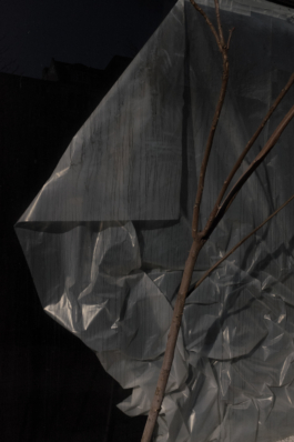 DANIEL RODRIGUEZ | Photography