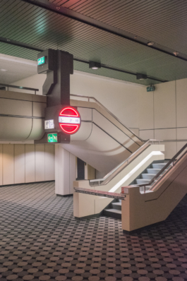 DANIEL RODRIGUEZ | Photography