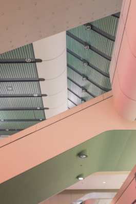 DANIEL RODRIGUEZ | Photography