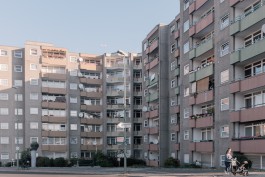 DANIEL RODRIGUEZ | Photography