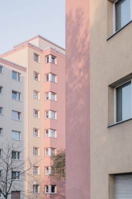 DANIEL RODRIGUEZ | Photography