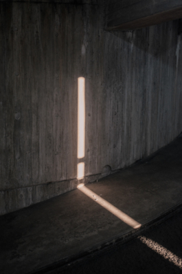 DANIEL RODRIGUEZ | Photography