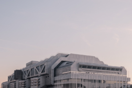 DANIEL RODRIGUEZ | Photography