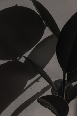 DANIEL RODRIGUEZ | Photography