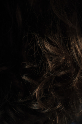 DANIEL RODRIGUEZ | Photography