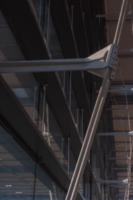 DANIEL RODRIGUEZ | Photography