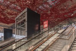 DANIEL RODRIGUEZ | Photography