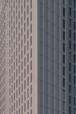 DANIEL RODRIGUEZ | Photography