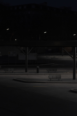 DANIEL RODRIGUEZ | Photography