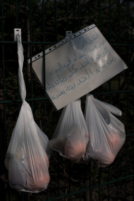 DANIEL RODRIGUEZ | Photography