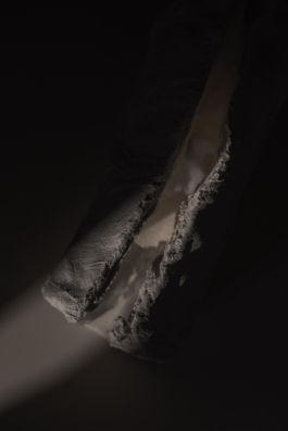 DANIEL RODRIGUEZ | Photography