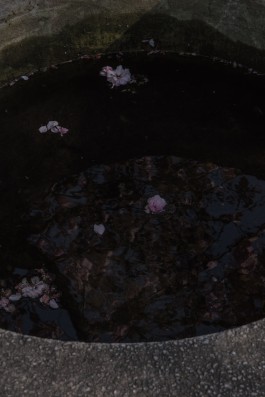 DANIEL RODRIGUEZ | Photography