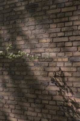 DANIEL RODRIGUEZ | Photography