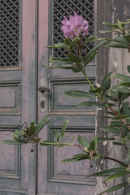 DANIEL RODRIGUEZ | Photography