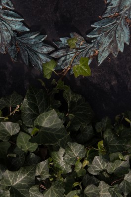 DANIEL RODRIGUEZ | Photography