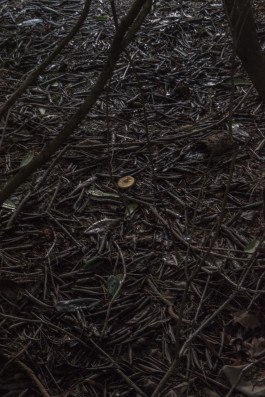 DANIEL RODRIGUEZ | Photography