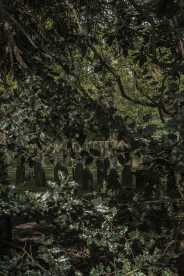 DANIEL RODRIGUEZ | Photography