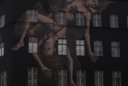 DANIEL RODRIGUEZ | Photography