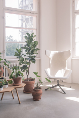 DANIEL RODRIGUEZ | Photography