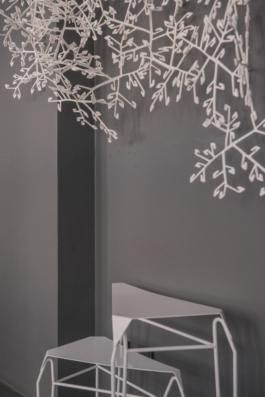 DANIEL RODRIGUEZ | Photography