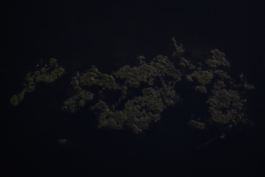 DANIEL RODRIGUEZ | Photography