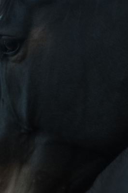 DANIEL RODRIGUEZ | Photography