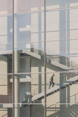 DANIEL RODRIGUEZ | Photography