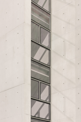 DANIEL RODRIGUEZ | Photography