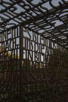 DANIEL RODRIGUEZ | Photography