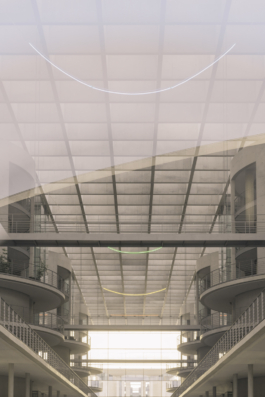 DANIEL RODRIGUEZ | Photography