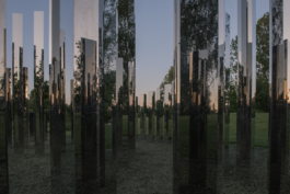 DANIEL RODRIGUEZ | Photography