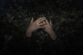 DANIEL RODRIGUEZ | Photography