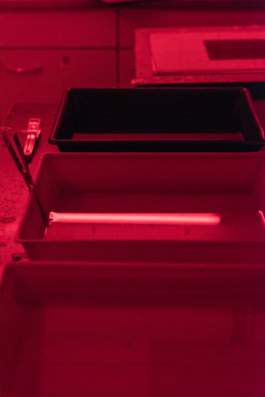 DANIEL RODRIGUEZ | Photography