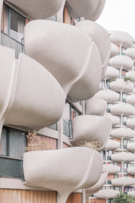 DANIEL RODRIGUEZ | Photography