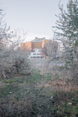 DANIEL RODRIGUEZ | Photography