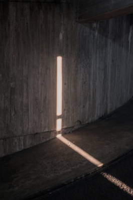 DANIEL RODRIGUEZ | Photography