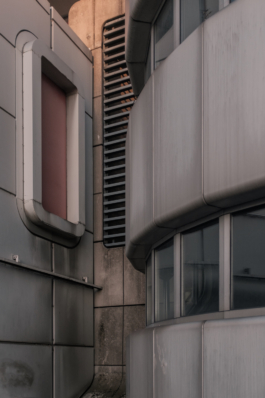 DANIEL RODRIGUEZ | Photography